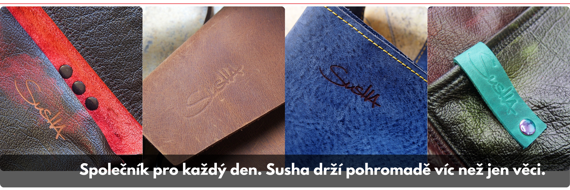 susha-banner