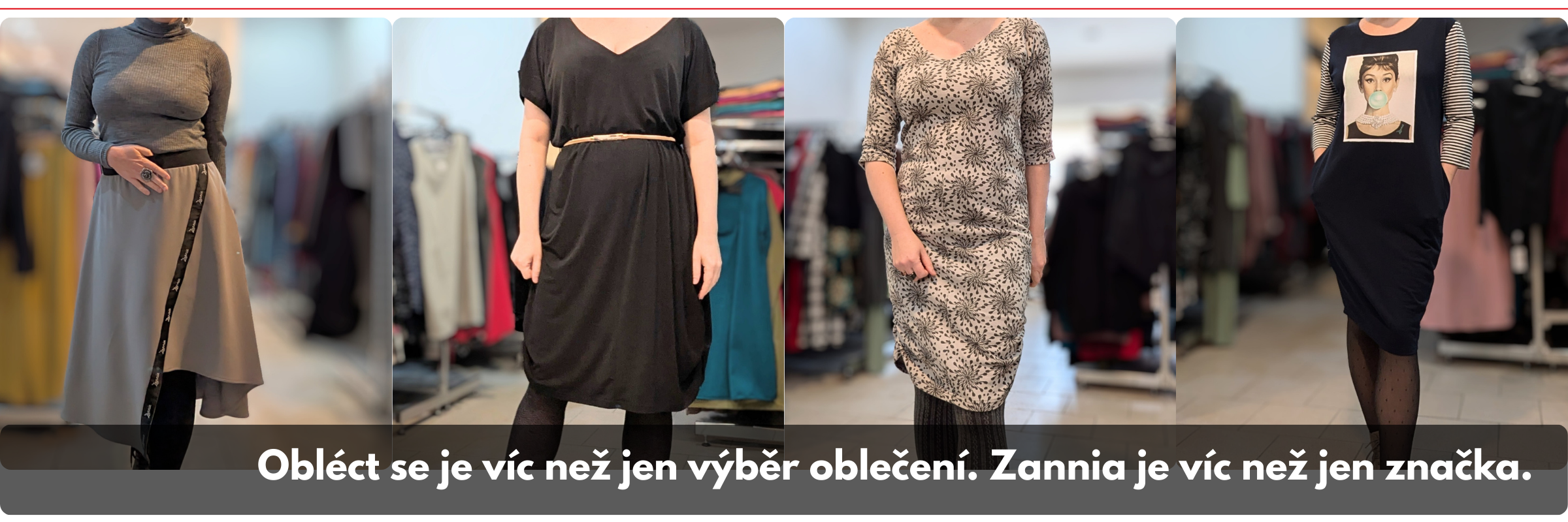 zannia-banner